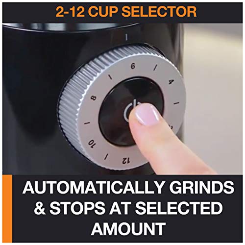 Krups Precision Plastic and Stainless Steel Flat Burr Grinder 12 Cup 110 Watts 12 Grind Settings, Drip, French Press, Espresso, Pour Over, Cold Brew Black